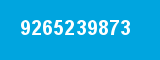 9265239873