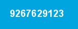 9267629123