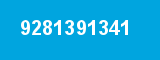 9281391341