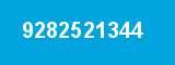 9282521344 9282521344