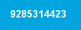 9285314423
