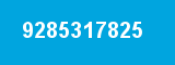 9285317825