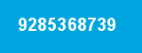 9285368739