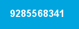 9285568341