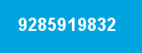 9285919832