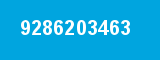 9286203463