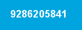 9286205841
