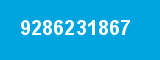 9286231867
