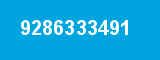 9286333491