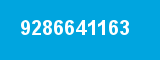 9286641163