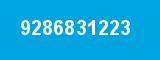 9286831223