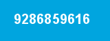 9286859616