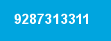 9287313311