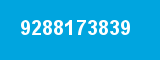 9288173839