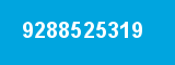 9288525319