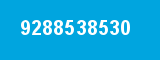 9288538530