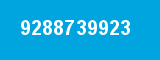 9288739923