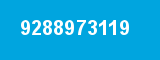 9288973119