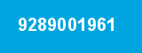9289001961