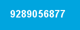 9289056877