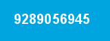 9289056945