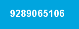 9289065106