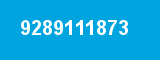 9289111873