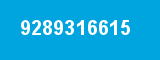 9289316615