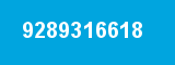 9289316618