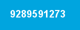 9289591273