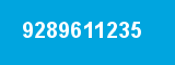 9289611235