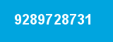 9289728731