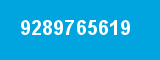 9289765619