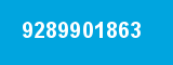 9289901863