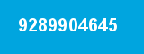 9289904645