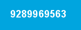 9289969563