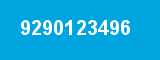 9290123496 9290123496