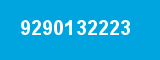 9290132223