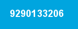 9290133206