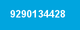 9290134428 9290134428
