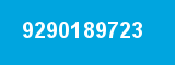 9290189723