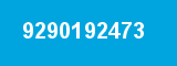 9290192473