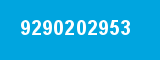 9290202953 9290202953