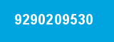 9290209530