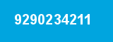 9290234211