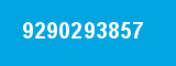 9290293857