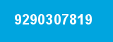 9290307819