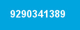 9290341389