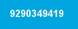 9290349419
