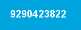 9290423822